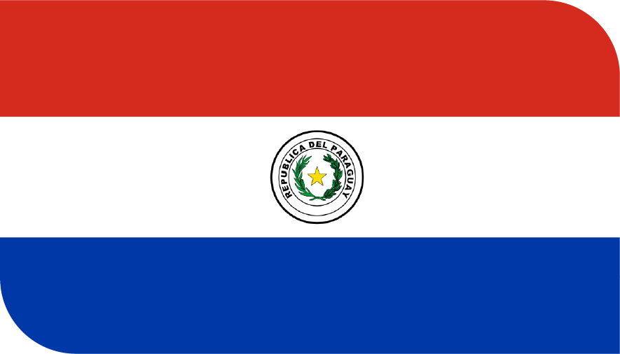 PARAGUAY bayrağı