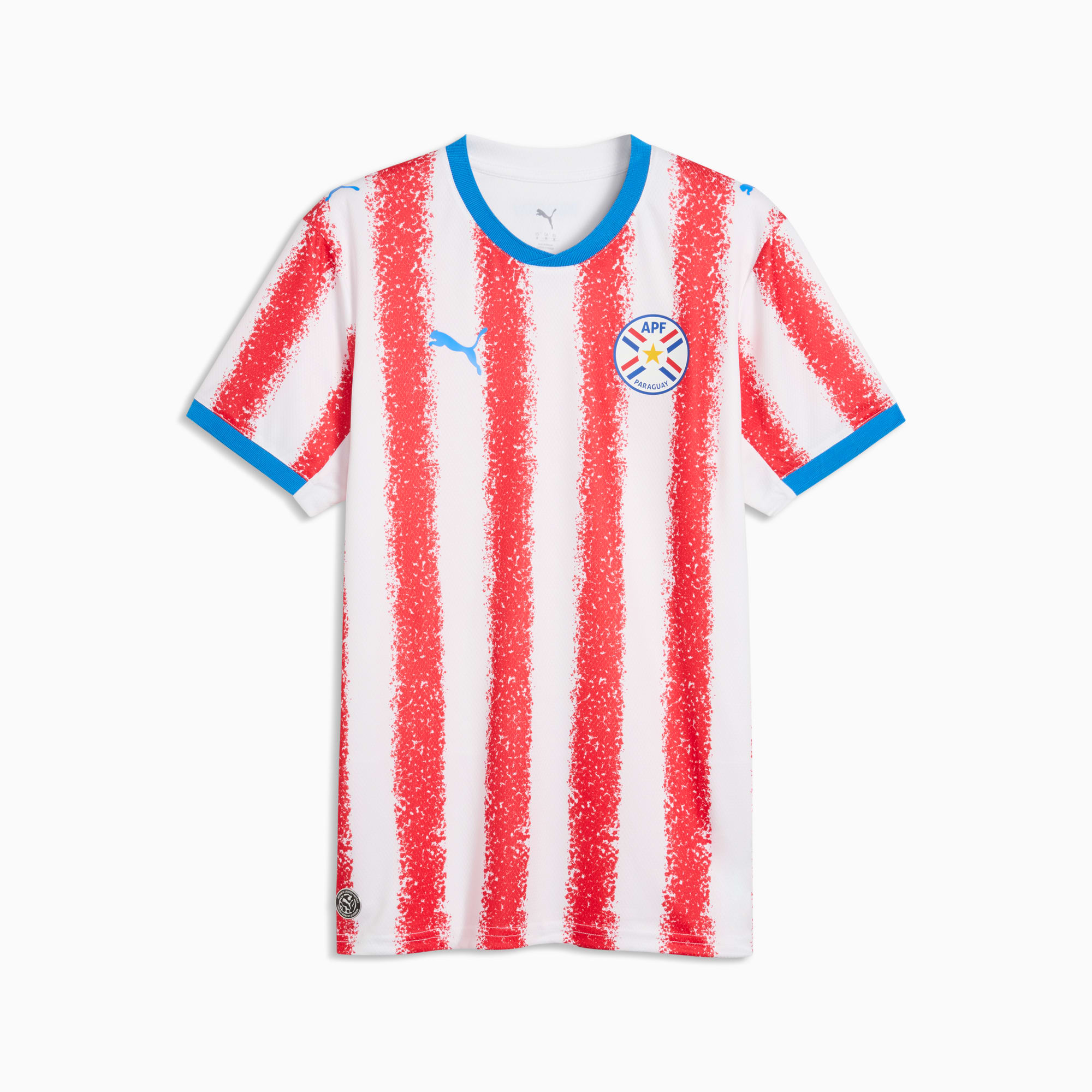 Paraguay iç saha forması
